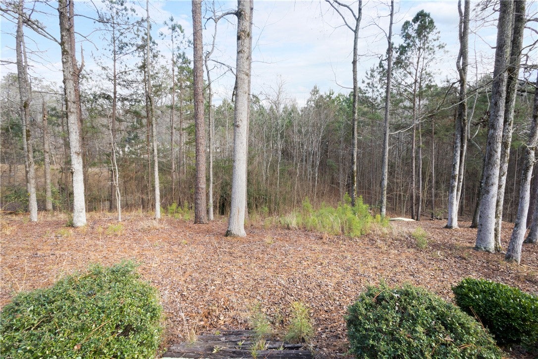 561 Lakeview Ridge Circle Dadeville, AL 36853 - Photo 2 of 28 Gallery Image 2
