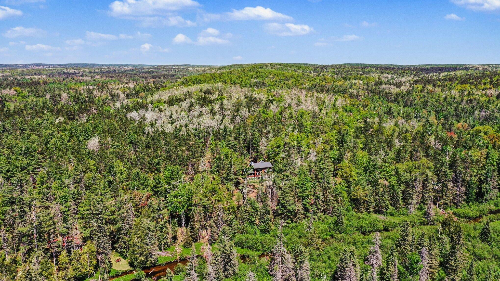 8100 Nature Rdg Trail Vanderbilt, MI 49795 - Photo 17 of 30 Drone view of the property