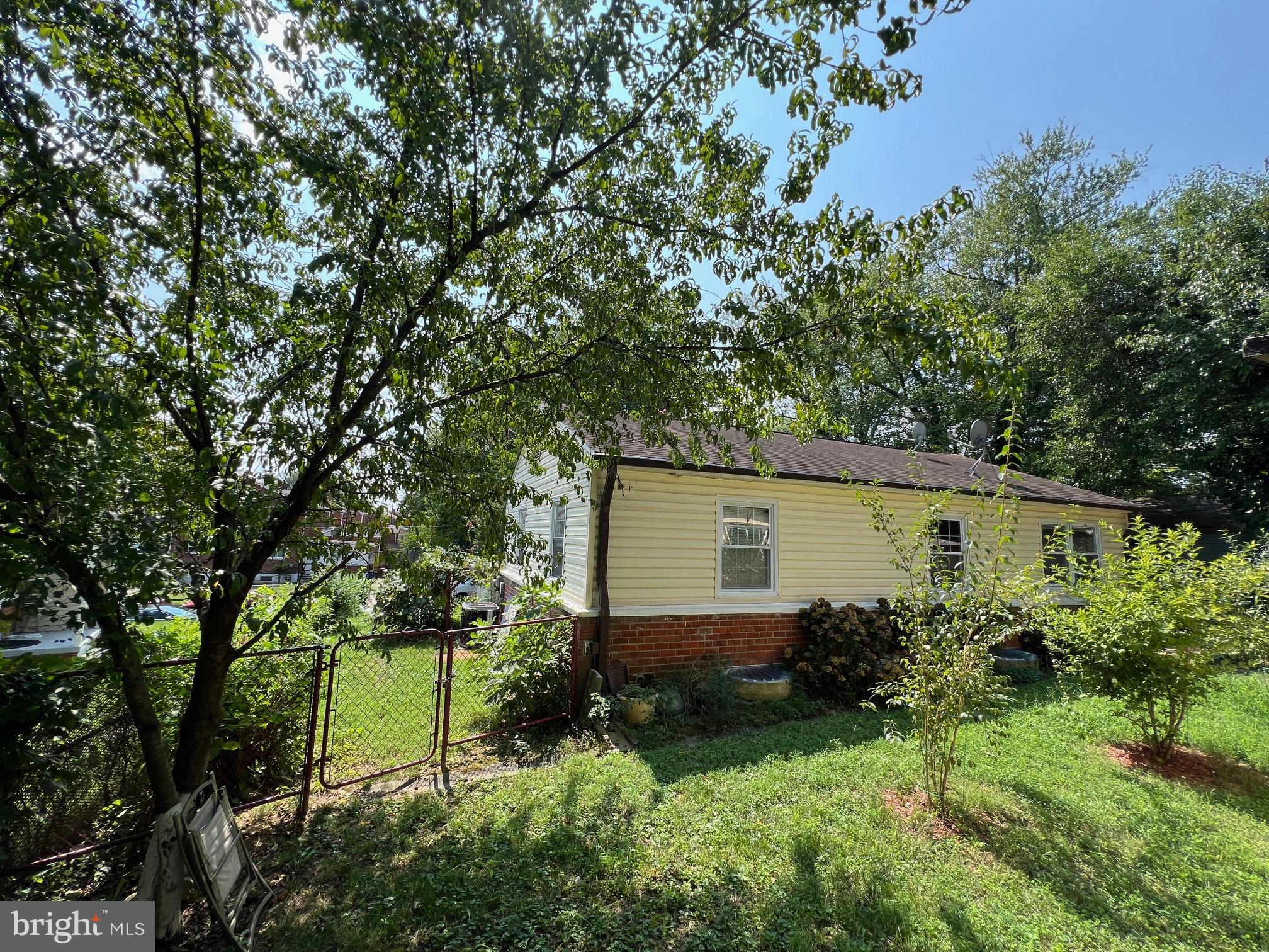 12205 Goodhill Road Silver Spring, MD 20902 - Photo 19 of 35 a view of backyard with potted plants and large tree