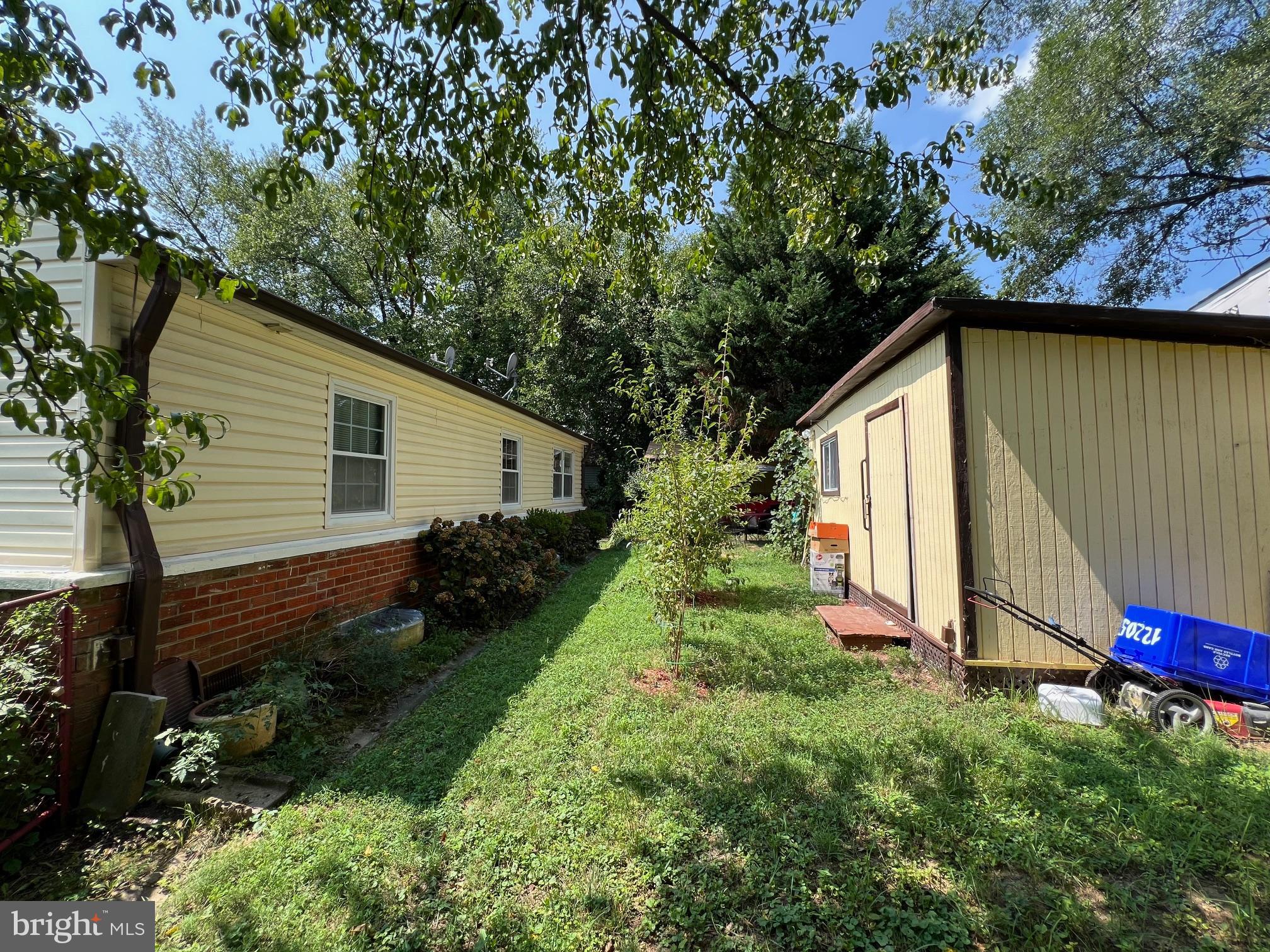 12205 Goodhill Road Silver Spring, MD 20902 - Photo 21 of 35 a backyard of a house with plants and large tree
