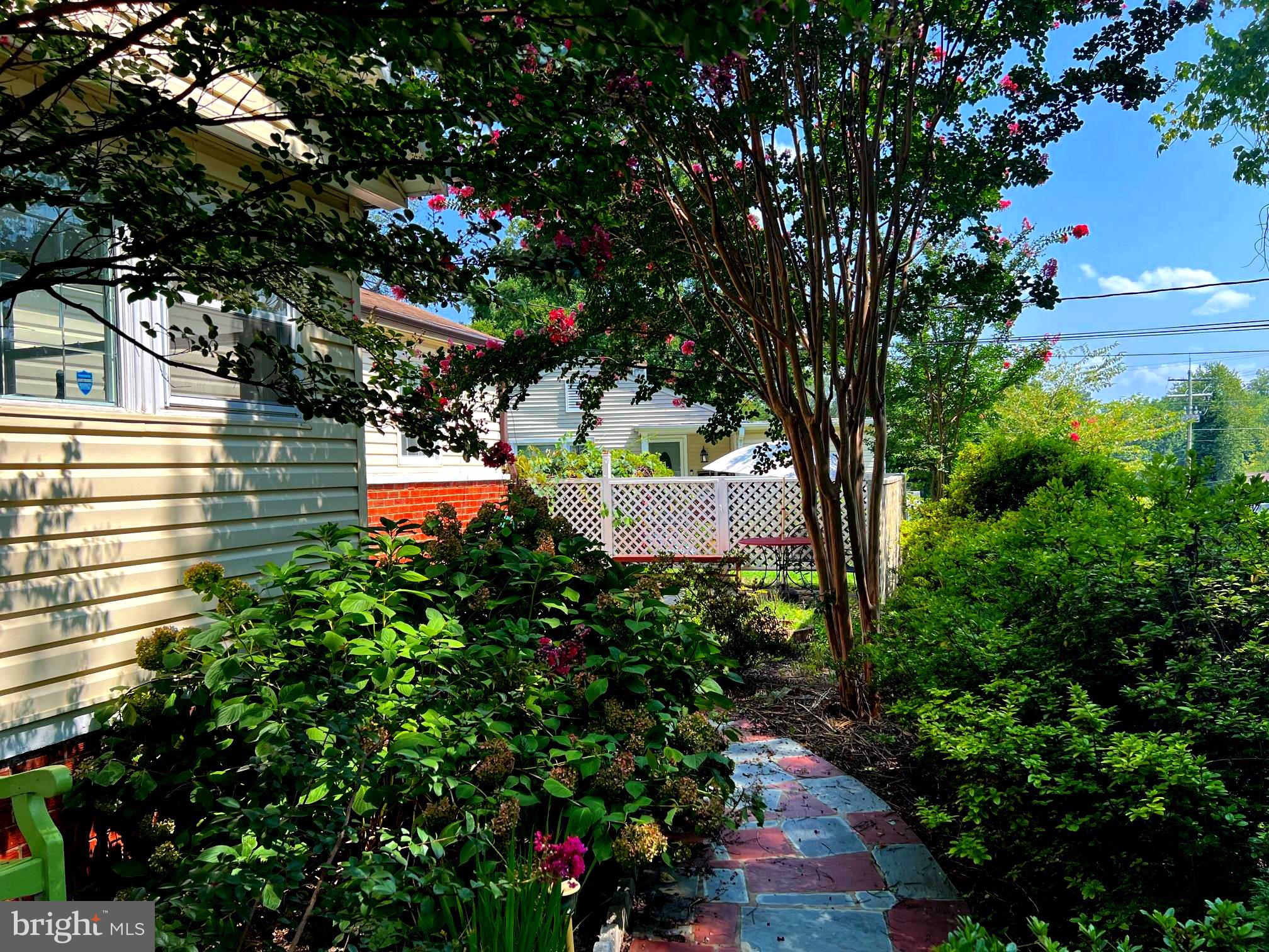 12205 Goodhill Road Silver Spring, MD 20902 - Photo 3 of 35 a view of a flower in a garden