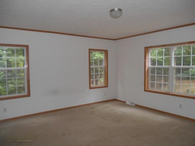 1177 South Sullivan Road Ravenna, MI 49451 - Photo 13 of 19 Additional Photo