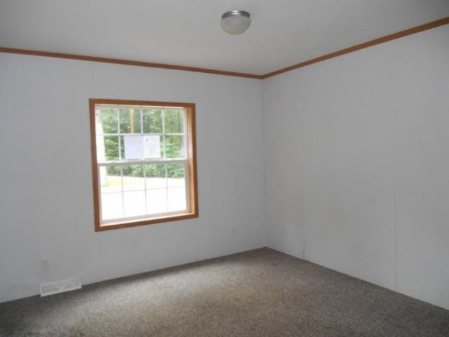 1177 South Sullivan Road Ravenna, MI 49451 - Photo 16 of 19 Additional Photo