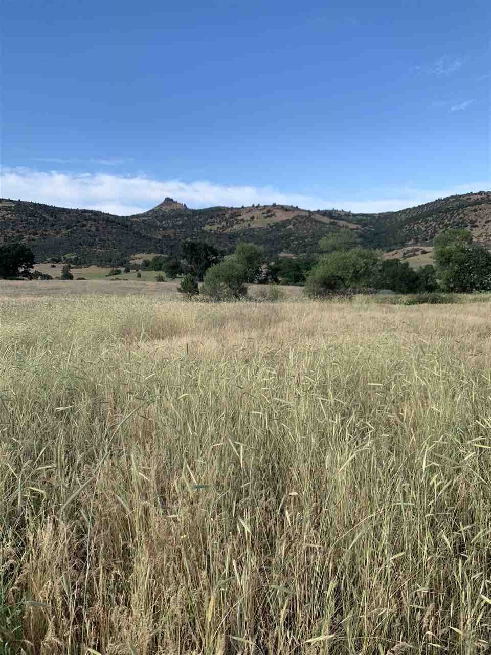 15909 Hornbrook Road Hornbrook, CA 96044 - Photo 2 of 14 Gallery Image 2