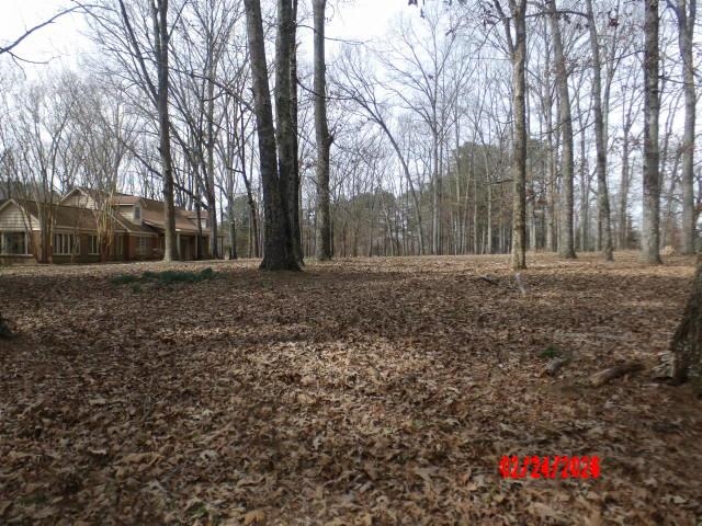 12165 Macon Road Collierville, TN 38017 - Photo 28 of 31