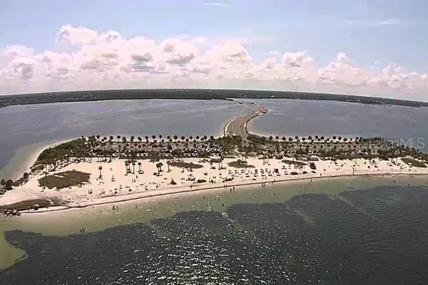 $2,800 | 2571 Cyprus Drive, Unit 1202, Palm Harbor, FL 34684