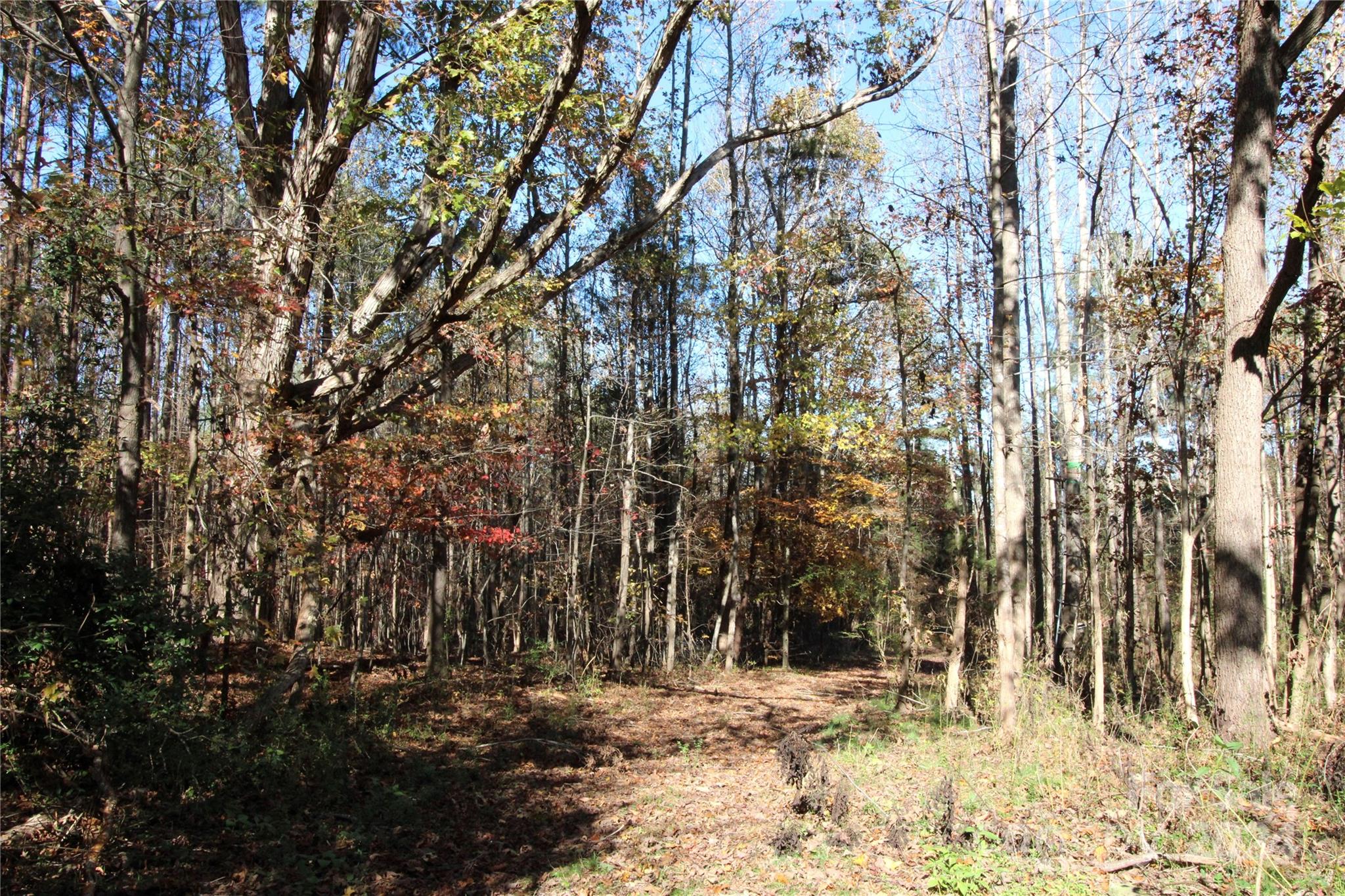 12-ac Lot 5 12-ac Road Clover, SC 29710 - Photo 2 of 9 Gallery Image 2
