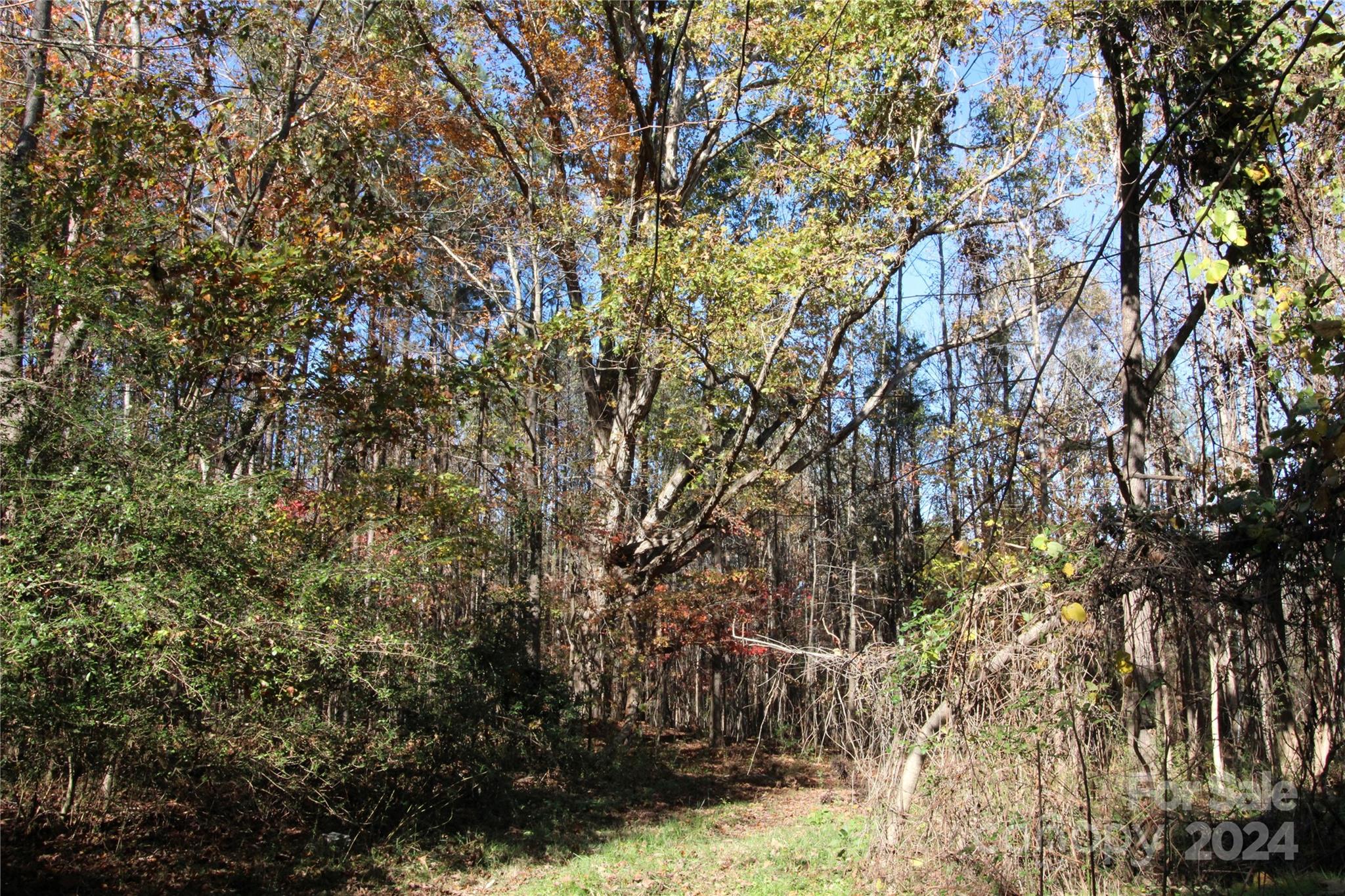 12-ac Lot 5 12-ac Road Clover, SC 29710 - Photo 3 of 9 Gallery Image 3