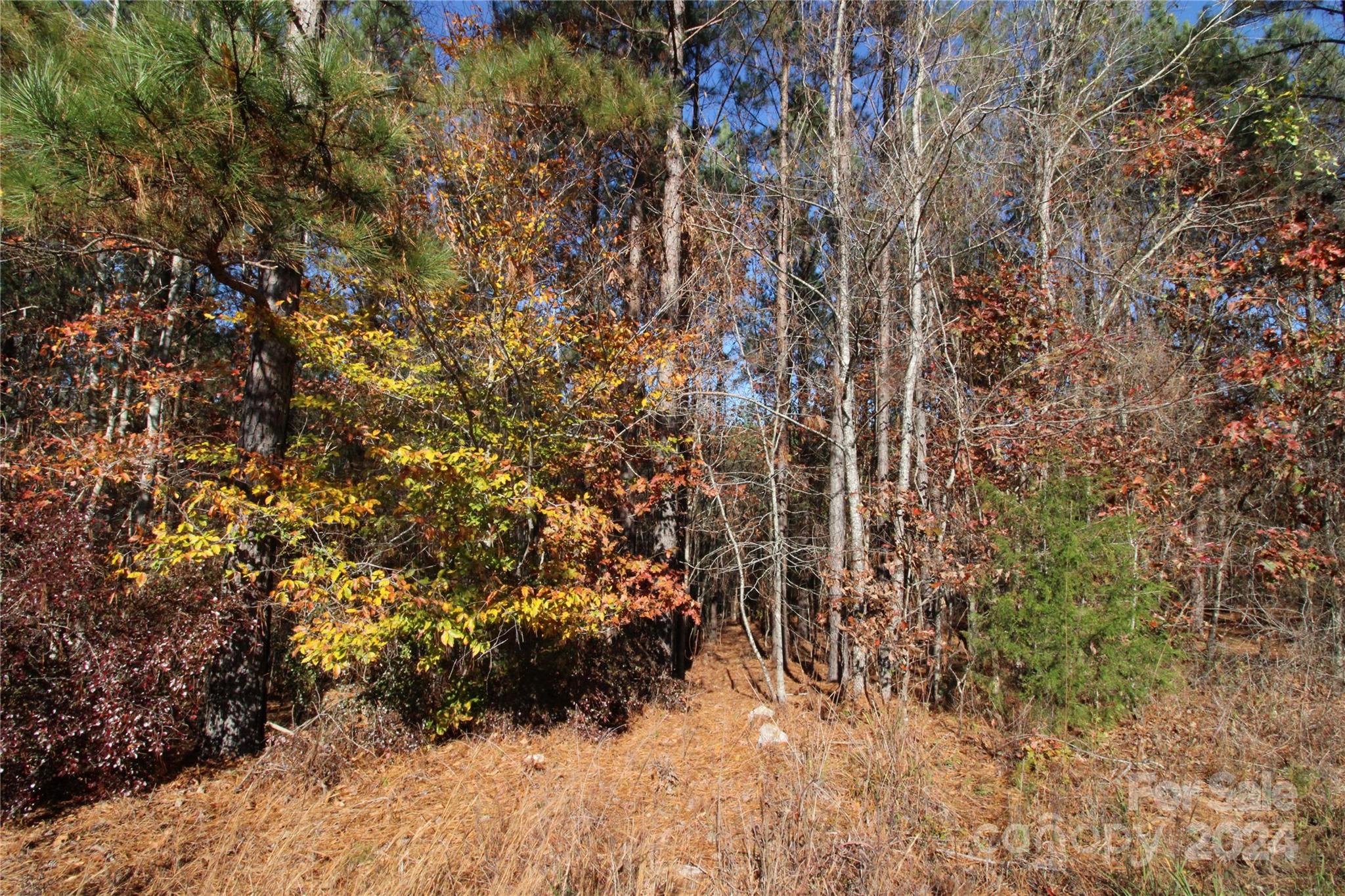 12-ac Lot 5 12-ac Road Clover, SC 29710 - Photo 5 of 9 Gallery Image 5