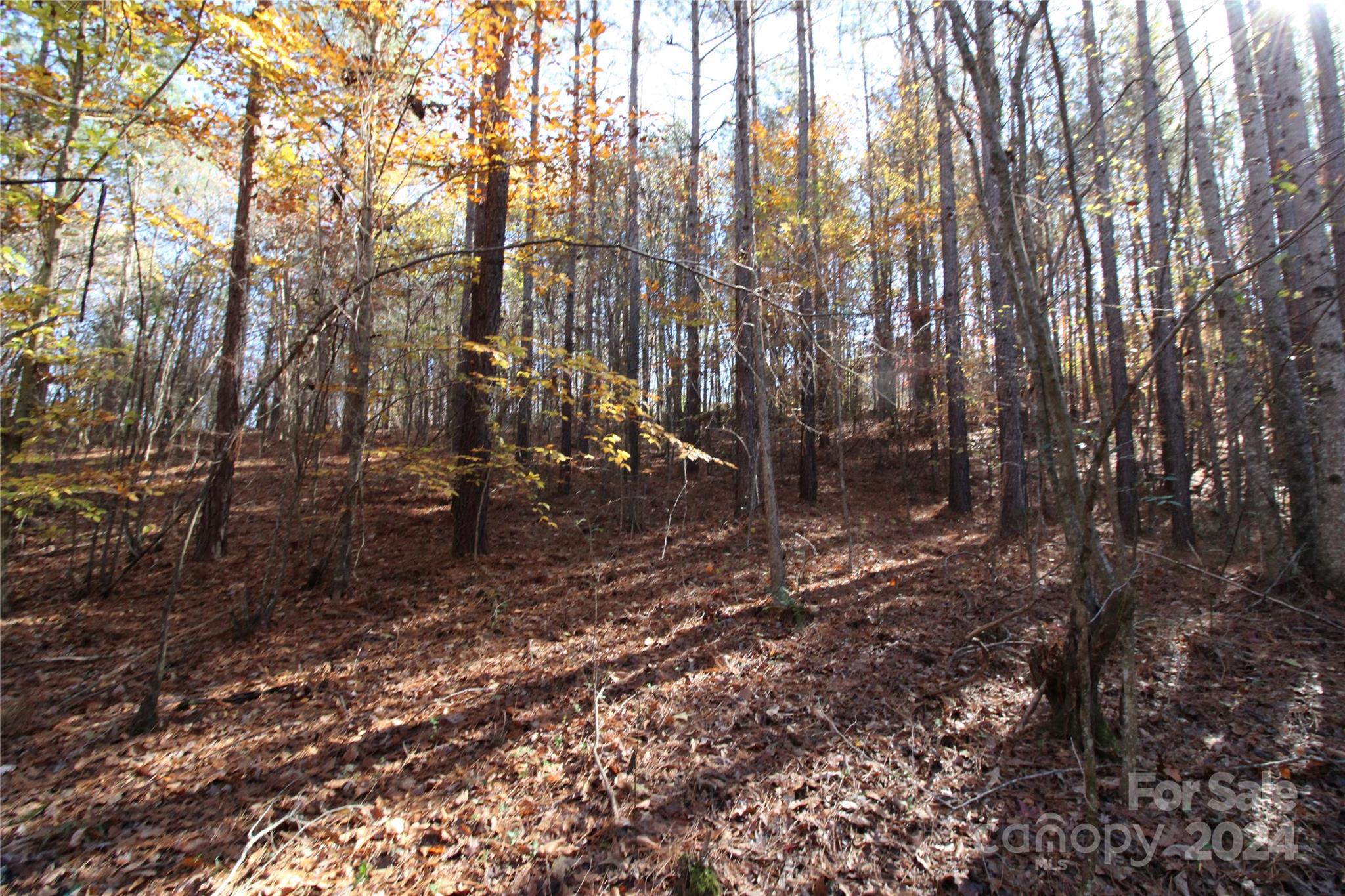 12-ac Lot 5 12-ac Road Clover, SC 29710 - Photo 6 of 9 Gallery Image 6