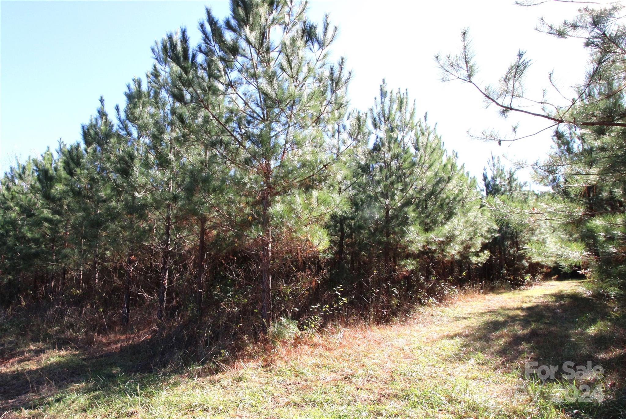 12-ac Lot 5 12-ac Road Clover, SC 29710 - Photo 7 of 9 Gallery Image 7