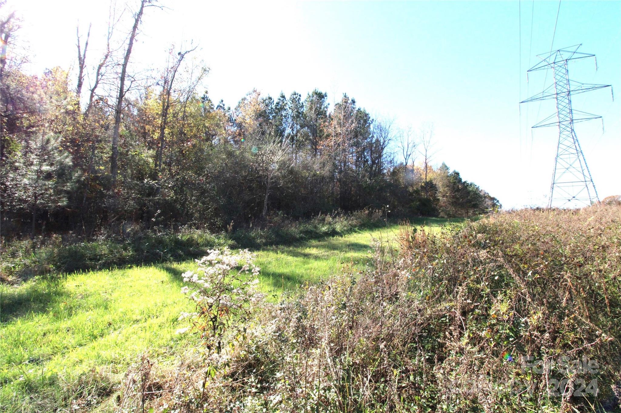 12-ac Lot 5 12-ac Road Clover, SC 29710 - Photo 8 of 9 Gallery Image 8
