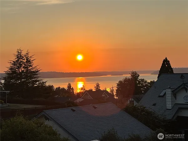 a view of a tree in a yard