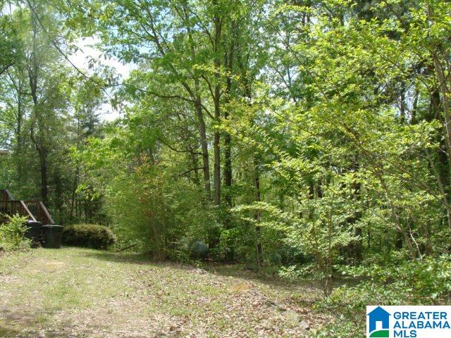 13556 Lock 17 Road Adger, AL 35006 - Photo 28 of 39