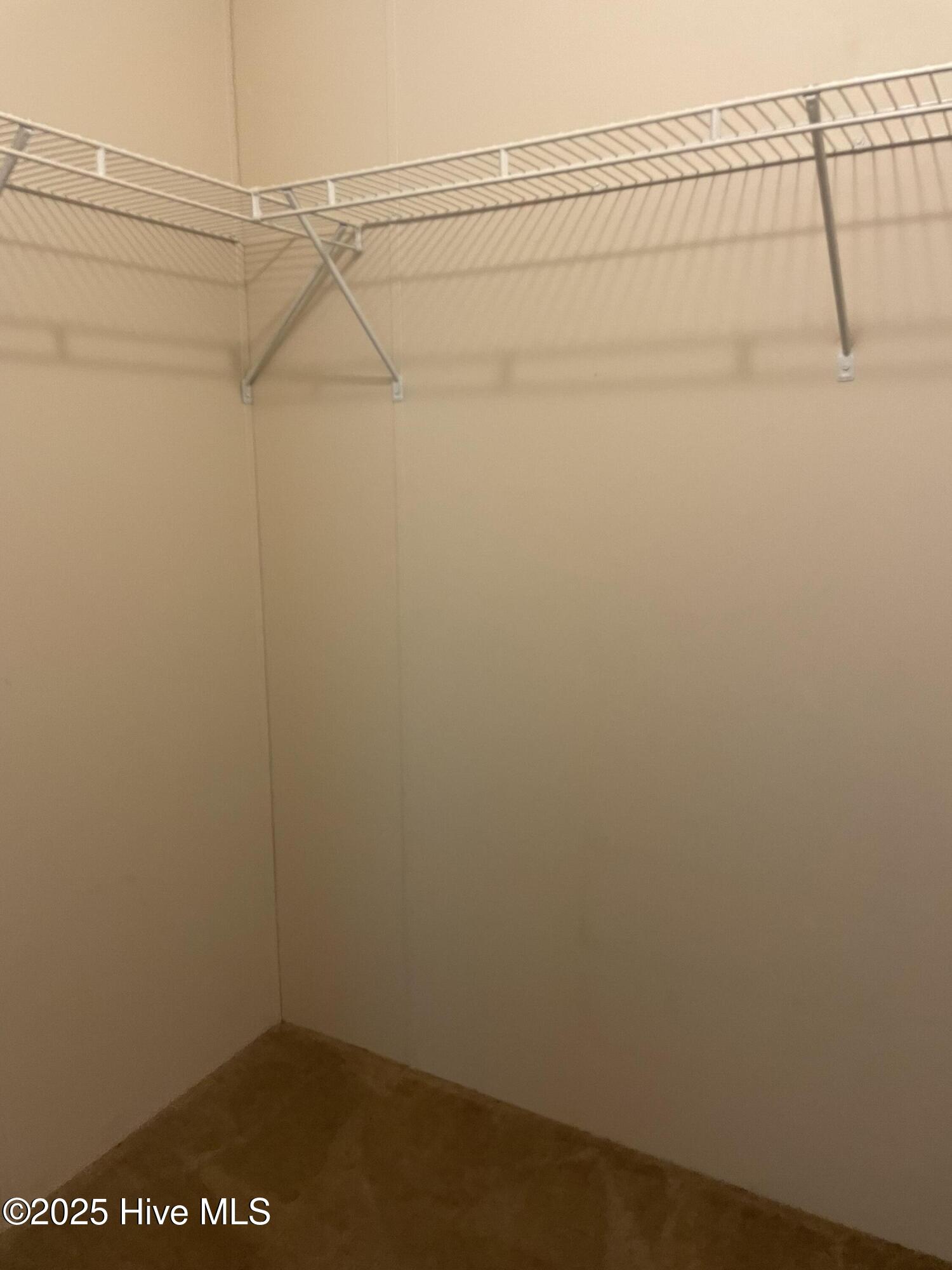 994 Snug Harbor Road Hertford, NC 27944 - Photo 12 of 24 2nd bdrm walk in closet
