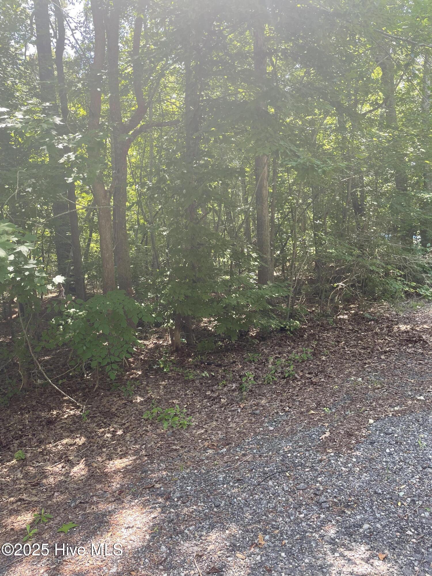 994 Snug Harbor Road Hertford, NC 27944 - Photo 24 of 24 danishas bk yd
