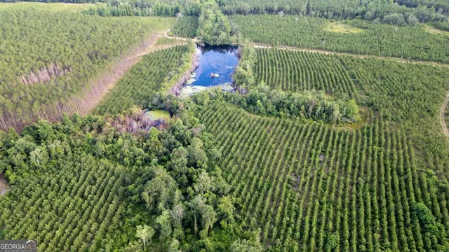 a view of a garden with a lake