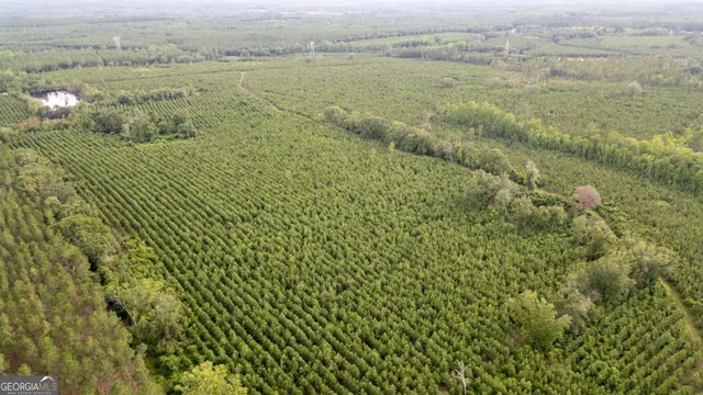 a view of a lake with a yard