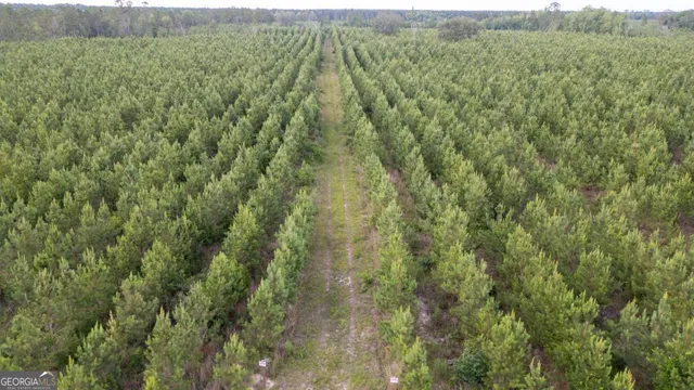 a view of a green field with lots of trees