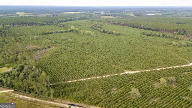a view of a field with an ocean