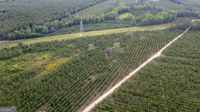 a view of a yard with plants