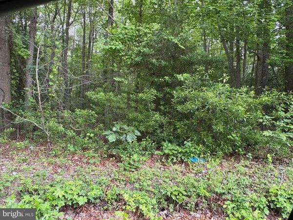 $145,000 | 0 Bogey Neck Road, Unit 4312A, Heathsville, VA 22473
