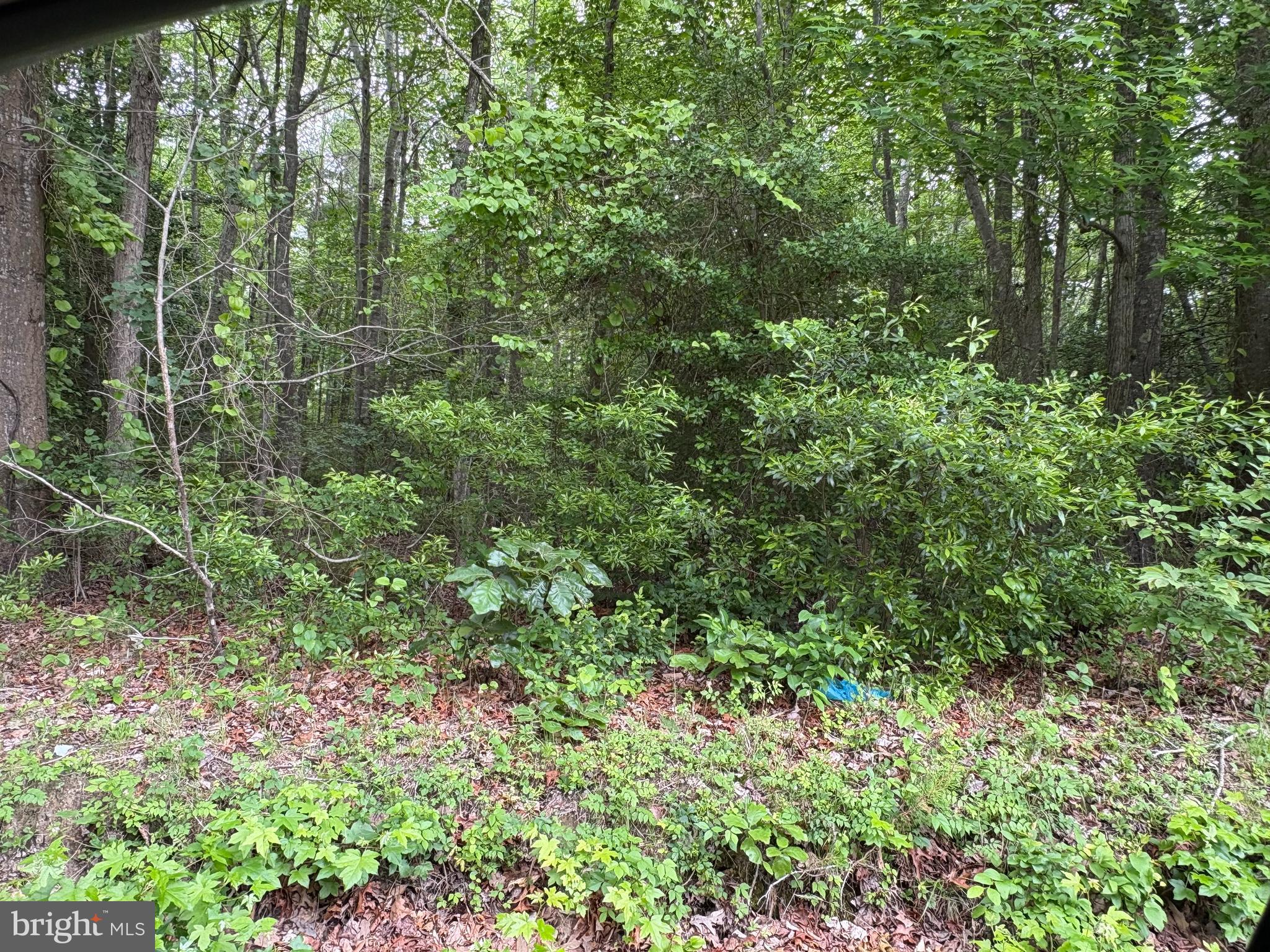 0 Bogey Neck Road, Unit 4312A Heathsville, VA 22473 - Photo 1 of 1