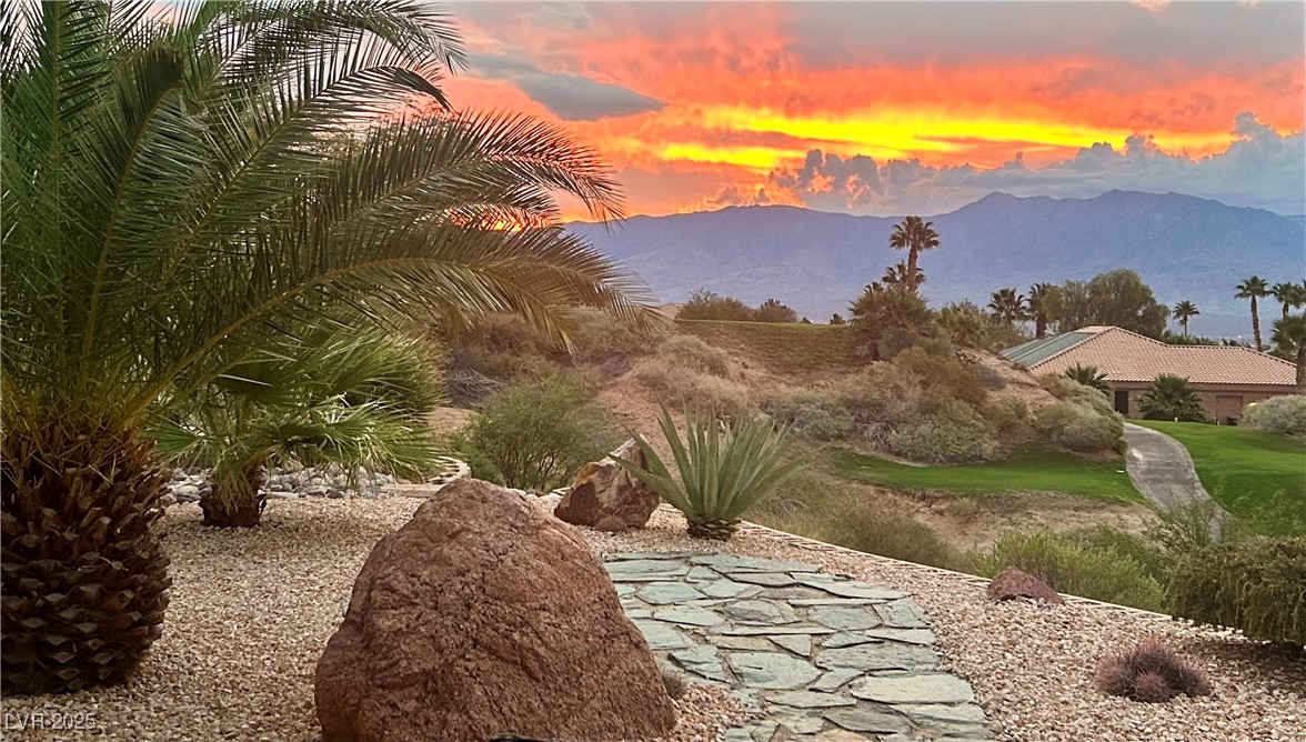 697 Cinco Court Mesquite, NV 89027 - Photo 5 of 59