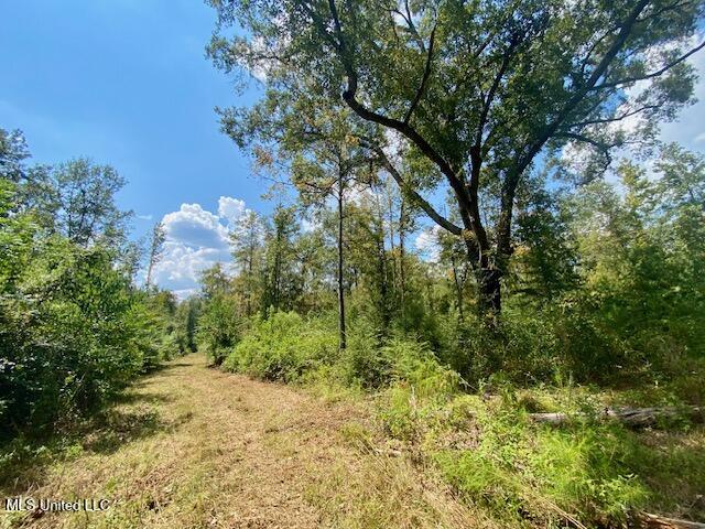 Quinlivan Road Magnolia, MS 39652 - Photo 19 of 23 IMG_6632