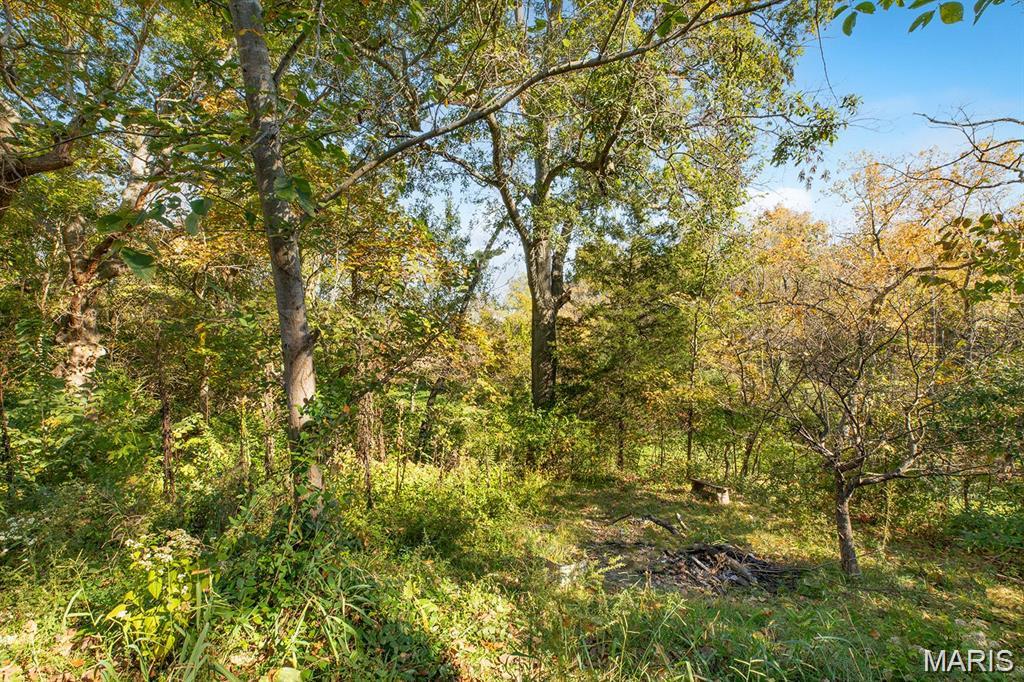 8617 Godfrey Road Godfrey, IL 62035 - Photo 8 of 9 Gallery Image 8