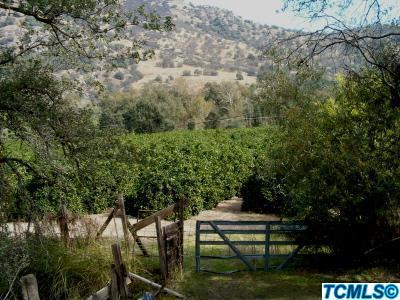 43553 North Fork Drive Three Rivers, CA 93271 - Photo 11 of 16 MIDDLE ORCHARD