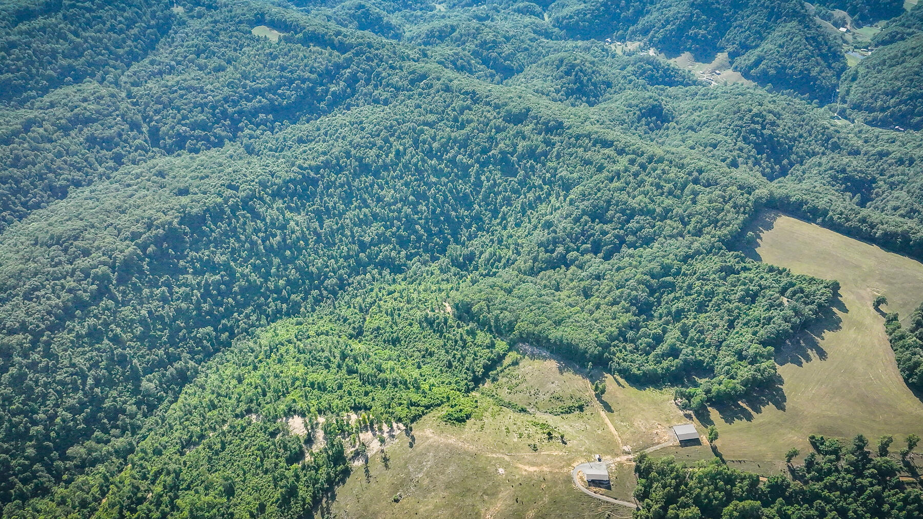 Tbd Tbd Limestone Valley Road Duffield, VA 24244 - Photo 21 of 29 104