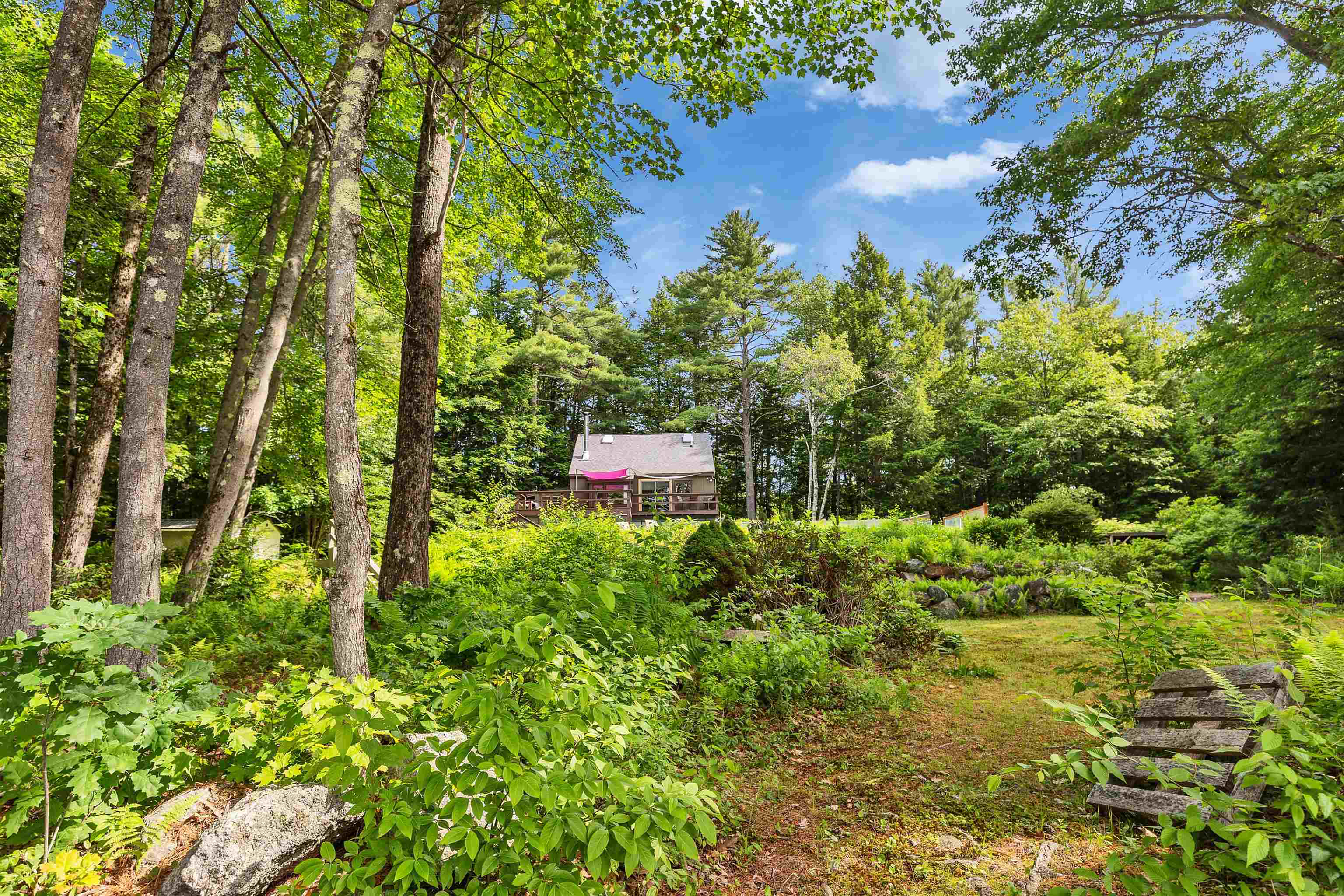 261 Forest Road Hancock, NH 03449 - Photo 52 of 60