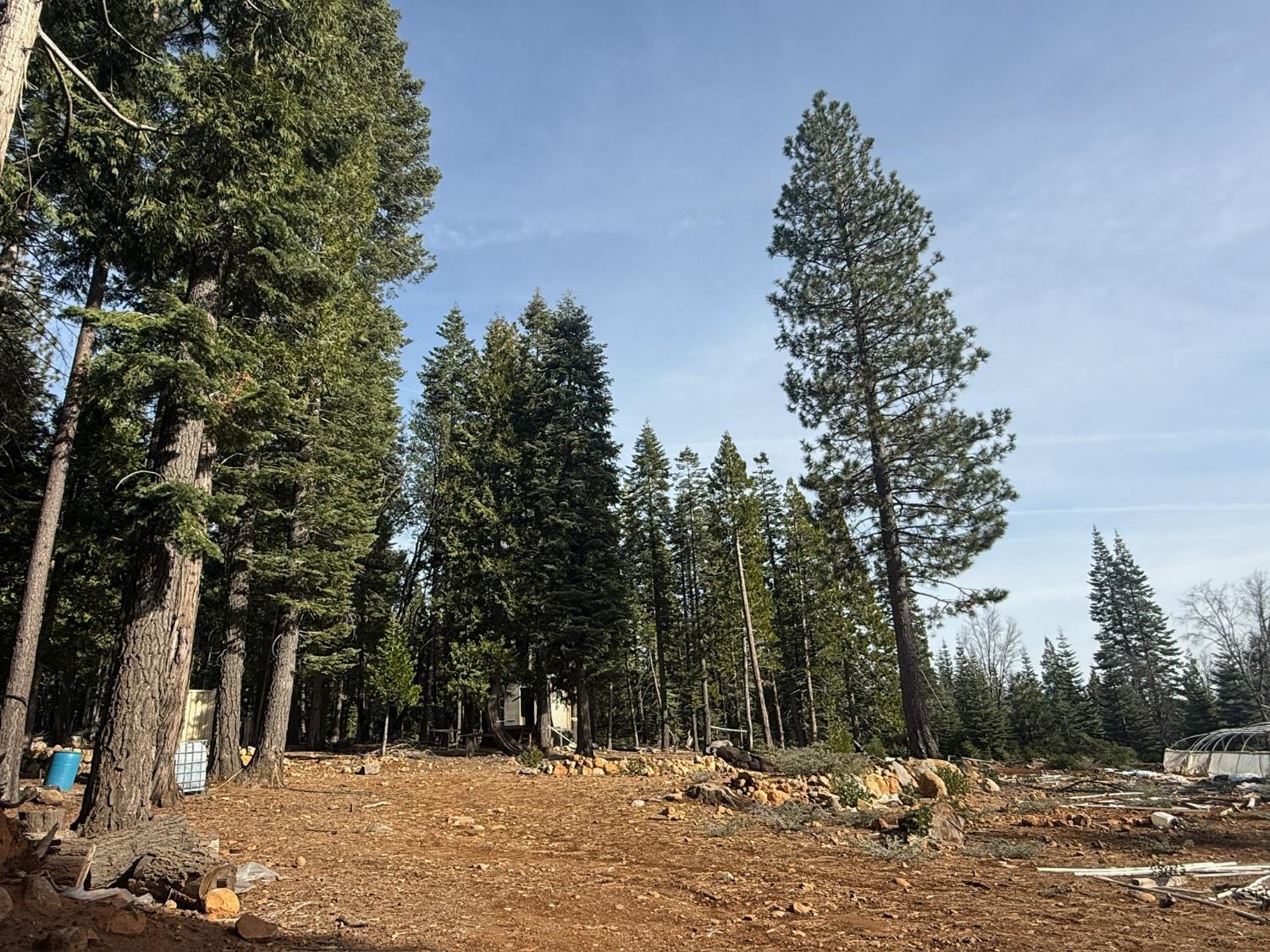 16127 Ophir Silver Road Nevada City, CA 95959 - Photo 10 of 20