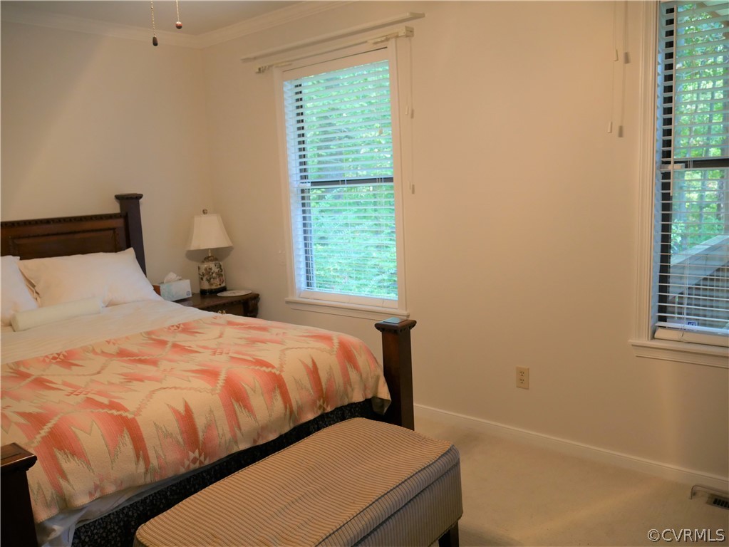 4656 East Grey Fox Gum Spring Gum Spring, VA 23065 - Photo 23 of 32 Primary Bedroom with bath