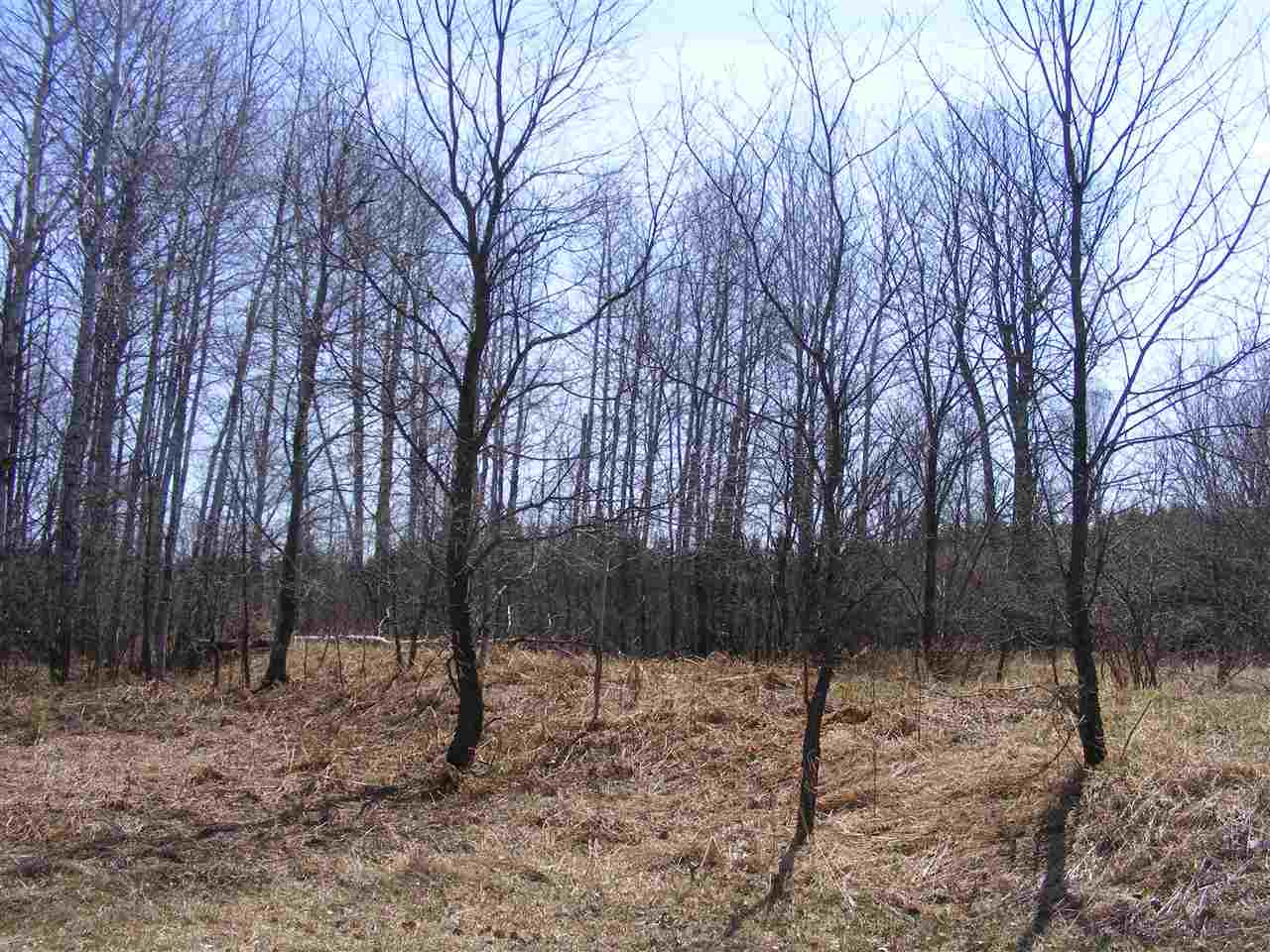 2040 East 2 1/2 Road Kingsley, MI 49649 - Photo 28 of 47 1843797-27.JPG