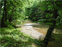 8291 Guthrie Road Cross Plains, TN 37049 - Photo 3 of 7 EXCELLENT PICNIC LOCATION, WADING OPTIONAL