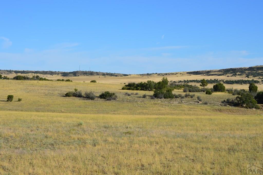 Tbd Tbd Plata Peak Rye, CO 81069 - Photo 8 of 11