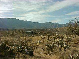 5324 East Edwin Road Tucson, AZ 85739 - Photo 3 of 5
