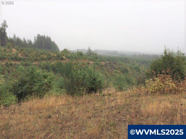Northwest Ridge Road Forest Grove, OR 97116 - Photo 3 of 8