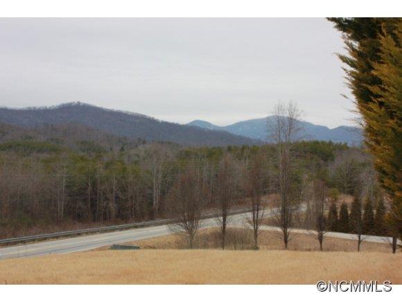 7600 Highway 9 Mill Spring, NC 28756 - Photo 2 of 12