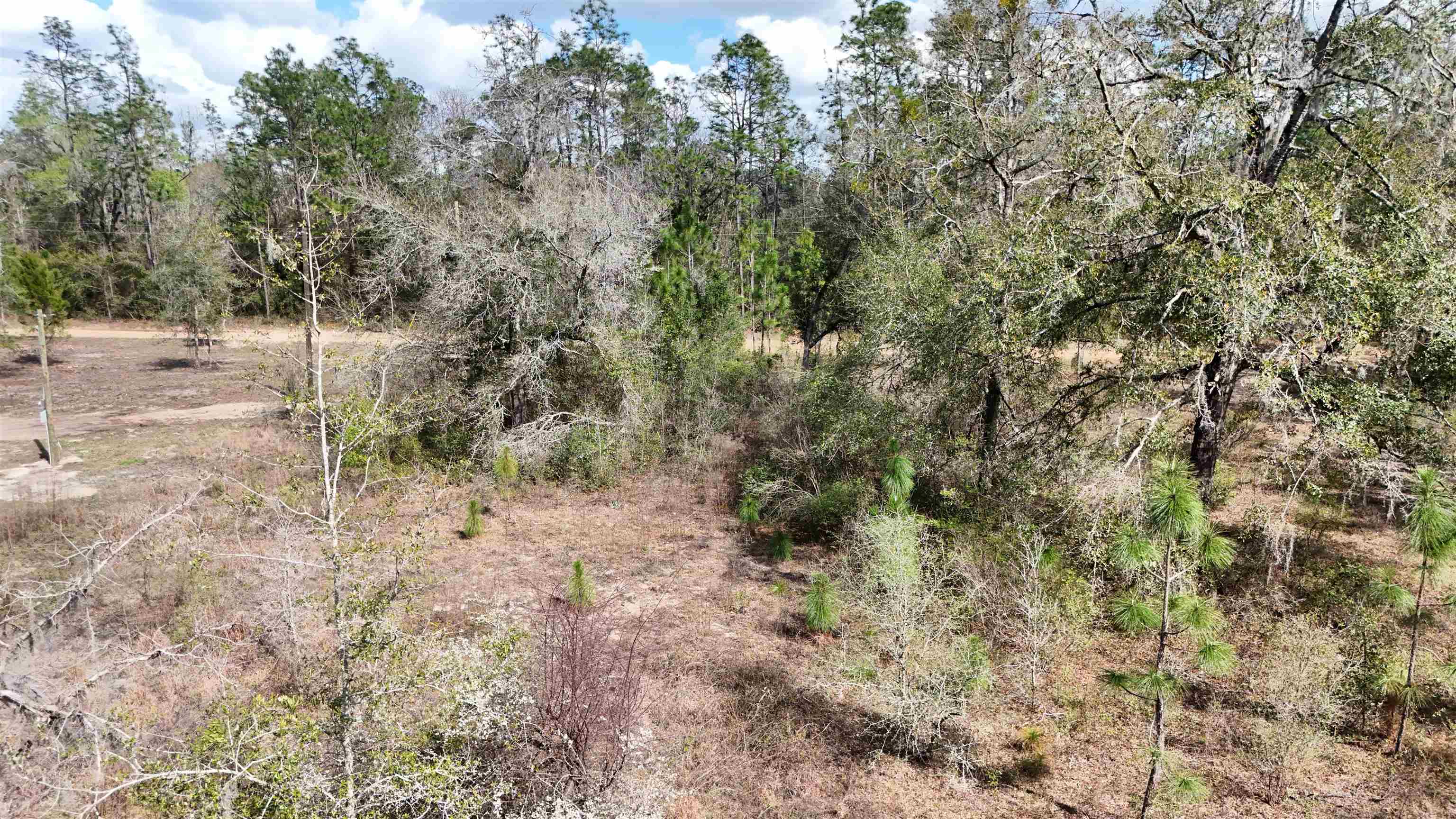 198 Northeast Blackjack Loop Lee, FL 32059 - Photo 2 of 45