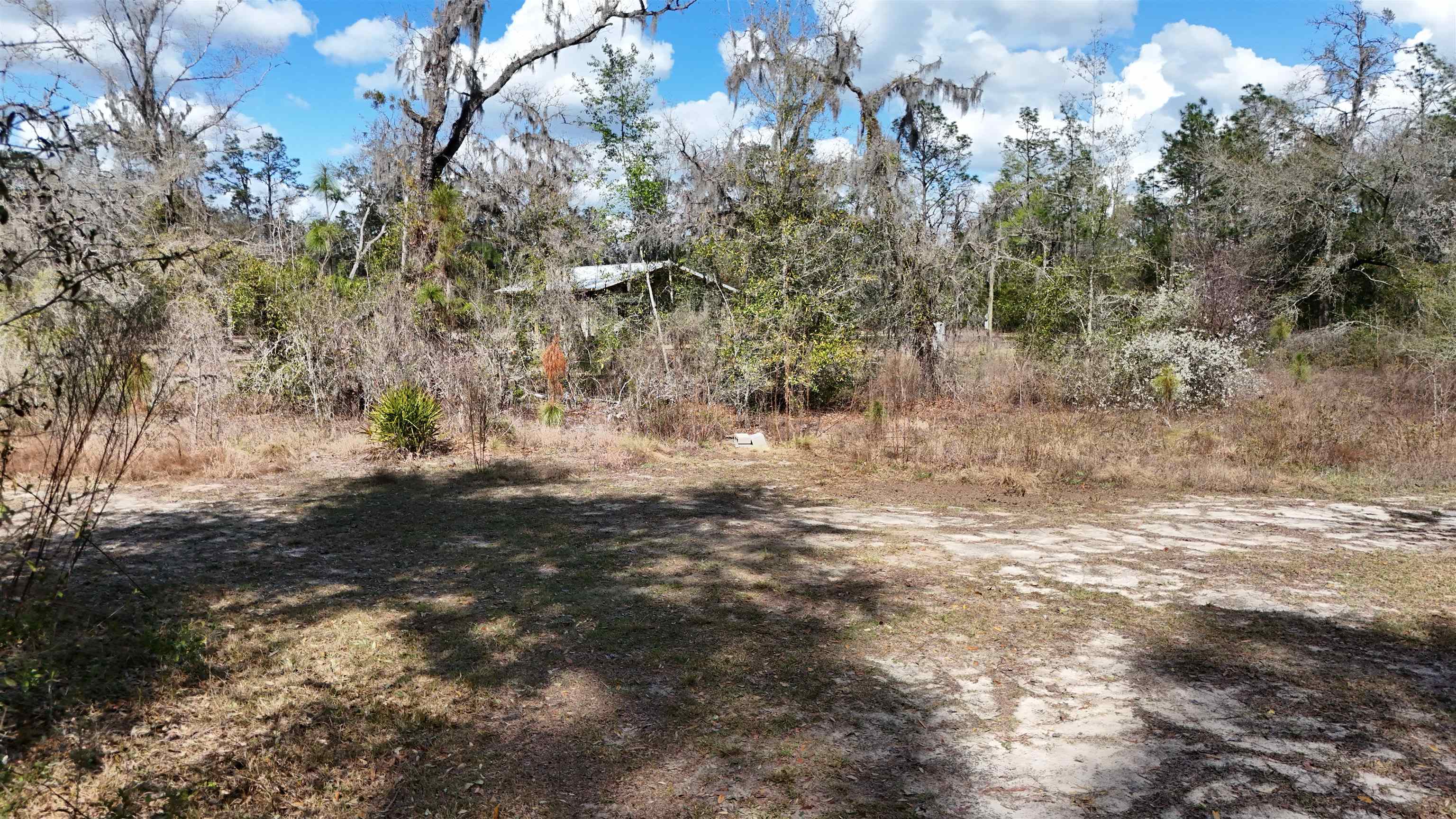 198 Northeast Blackjack Loop Lee, FL 32059 - Photo 34 of 45