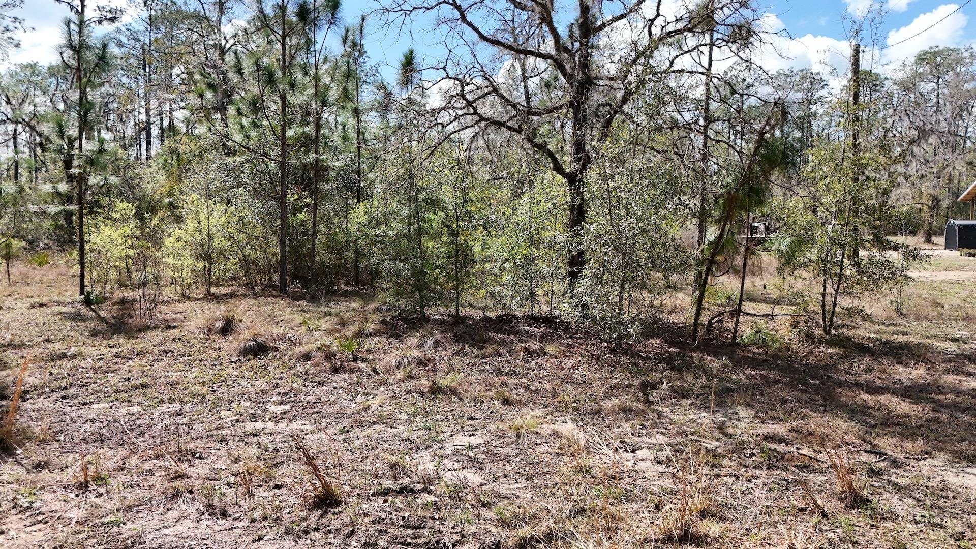 198 Northeast Blackjack Loop Lee, FL 32059 - Photo 35 of 45