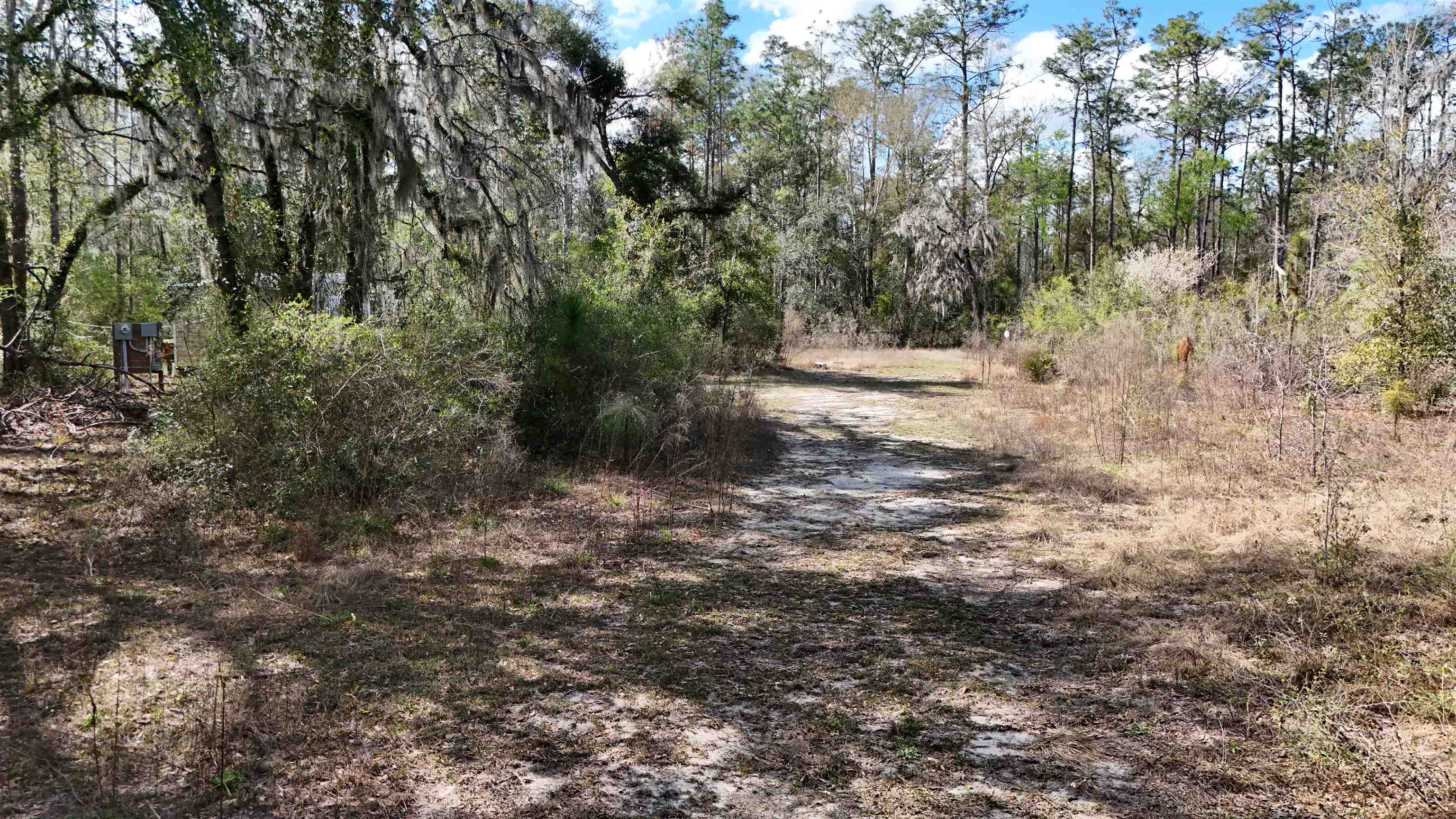 198 Northeast Blackjack Loop Lee, FL 32059 - Photo 36 of 45