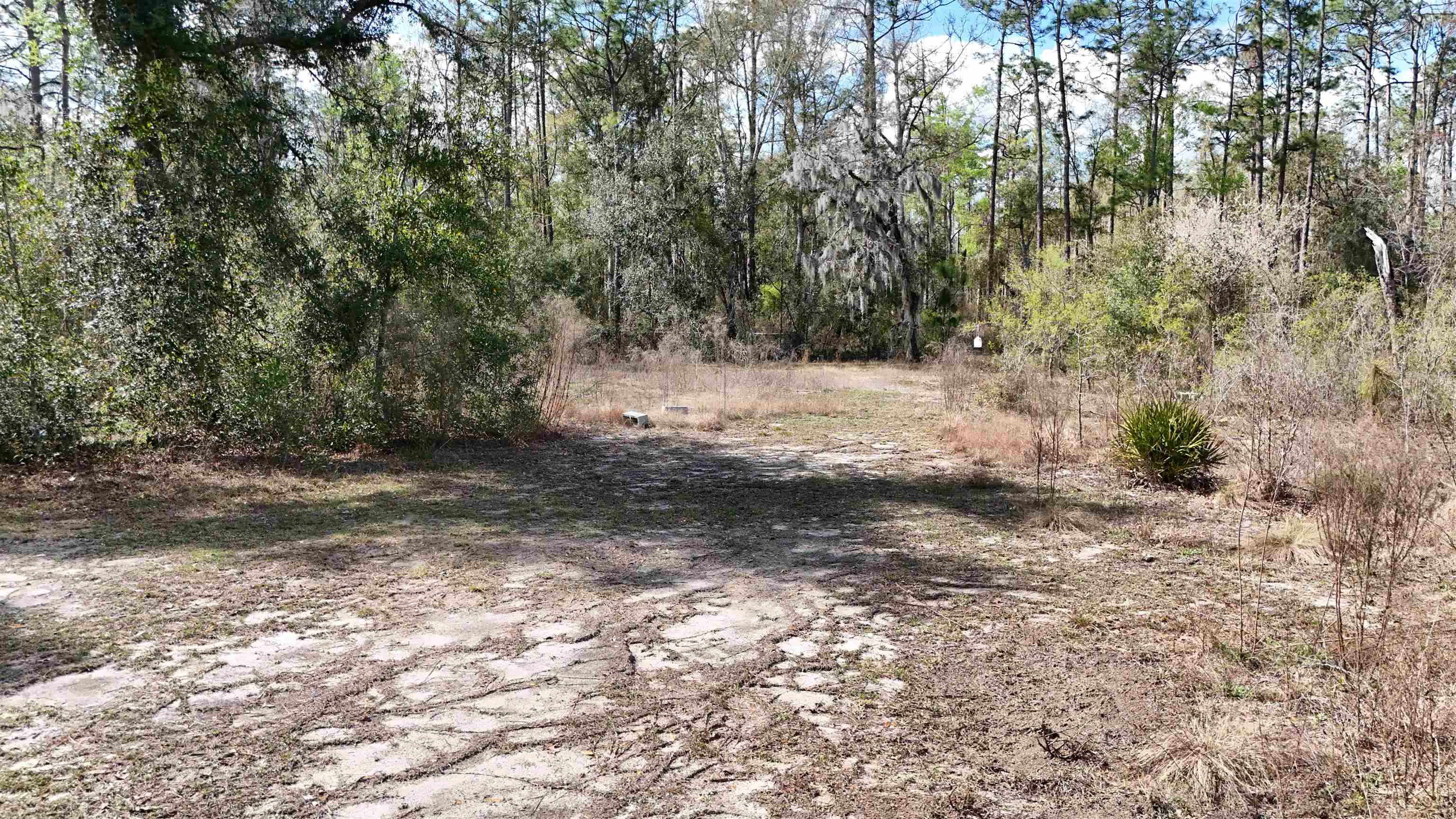 198 Northeast Blackjack Loop Lee, FL 32059 - Photo 41 of 45