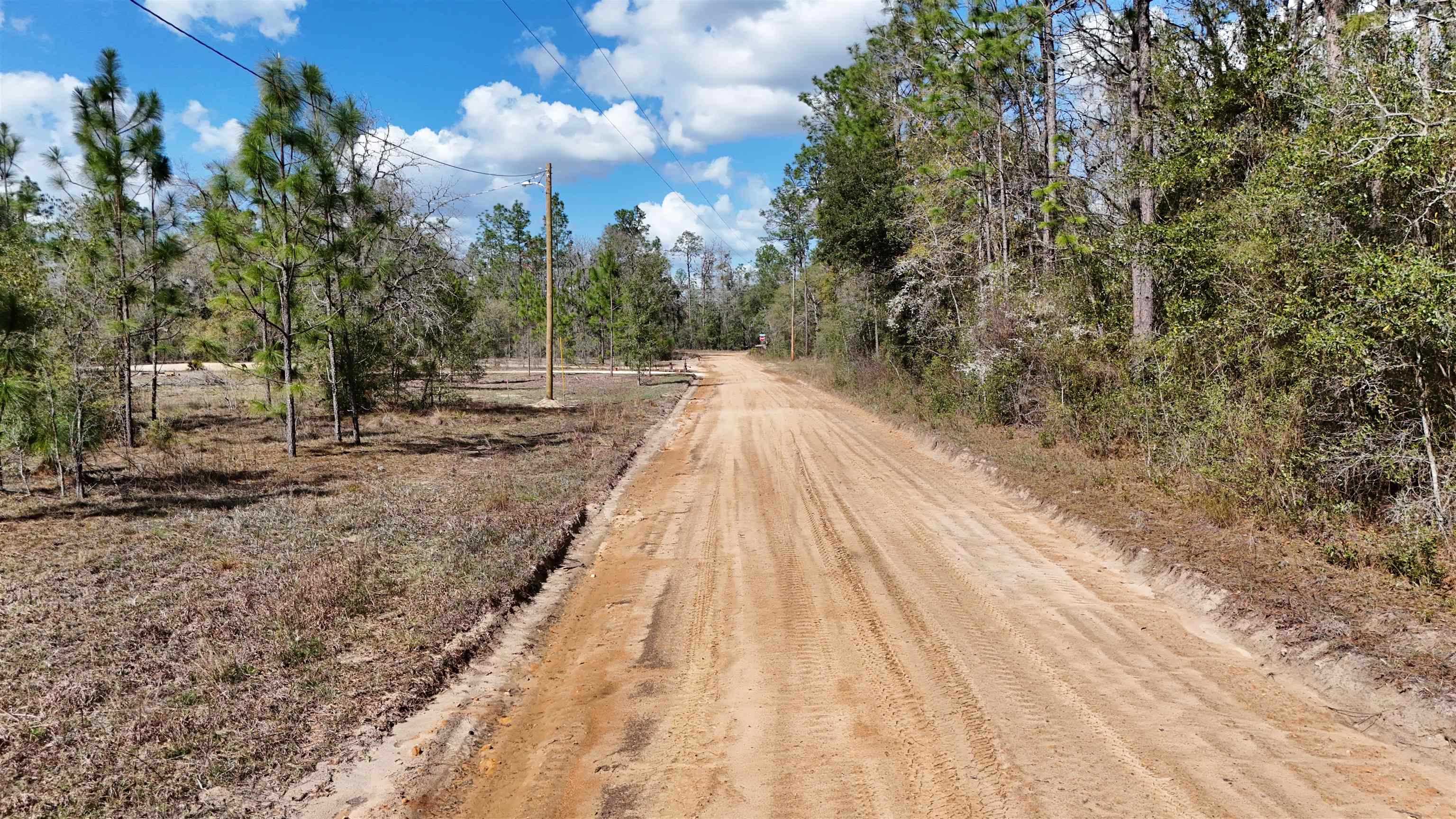 198 Northeast Blackjack Loop Lee, FL 32059 - Photo 8 of 45