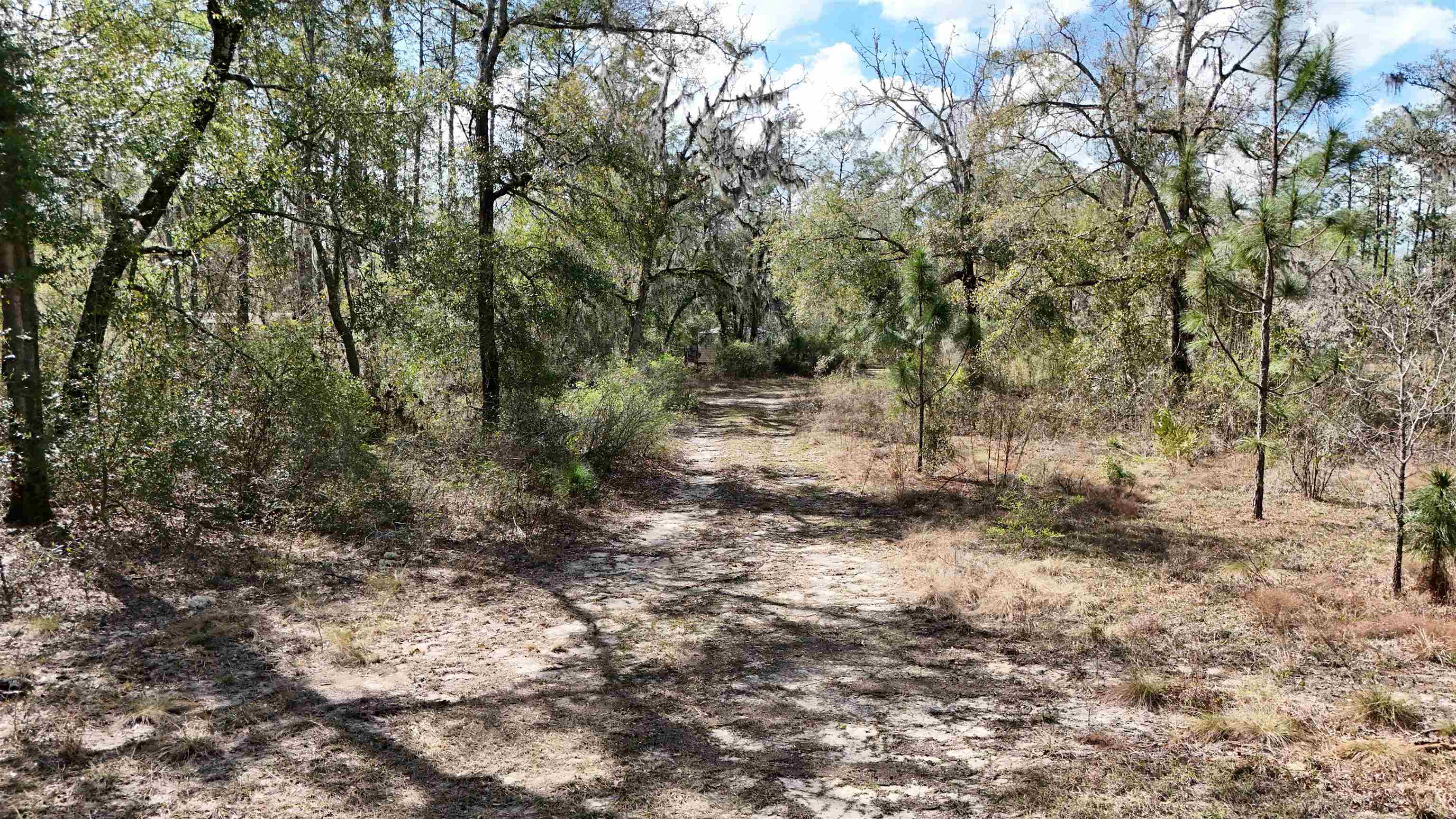 198 Northeast Blackjack Loop Lee, FL 32059 - Photo 9 of 45