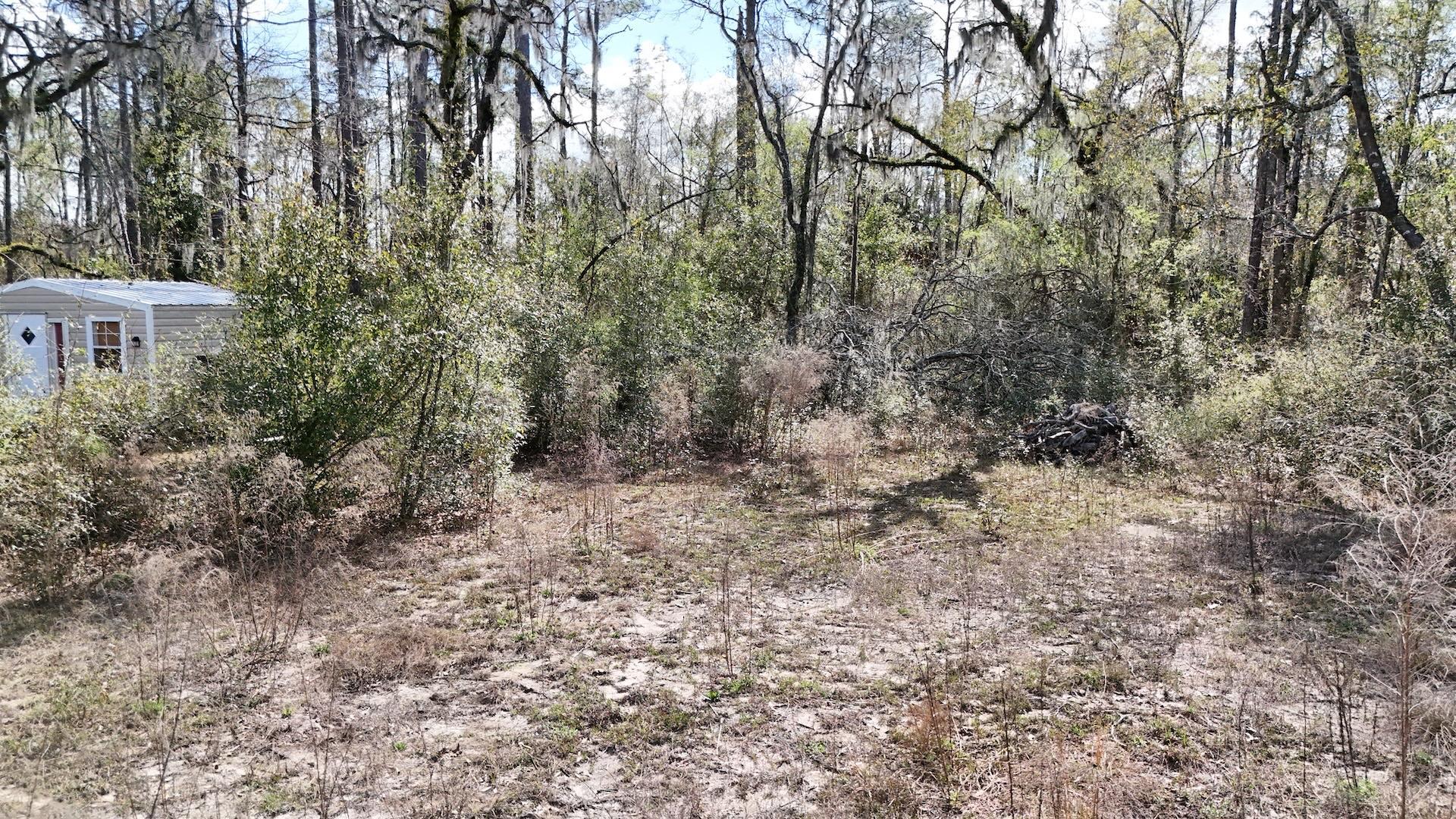 198 Northeast Blackjack Loop Lee, FL 32059 - Photo 10 of 45