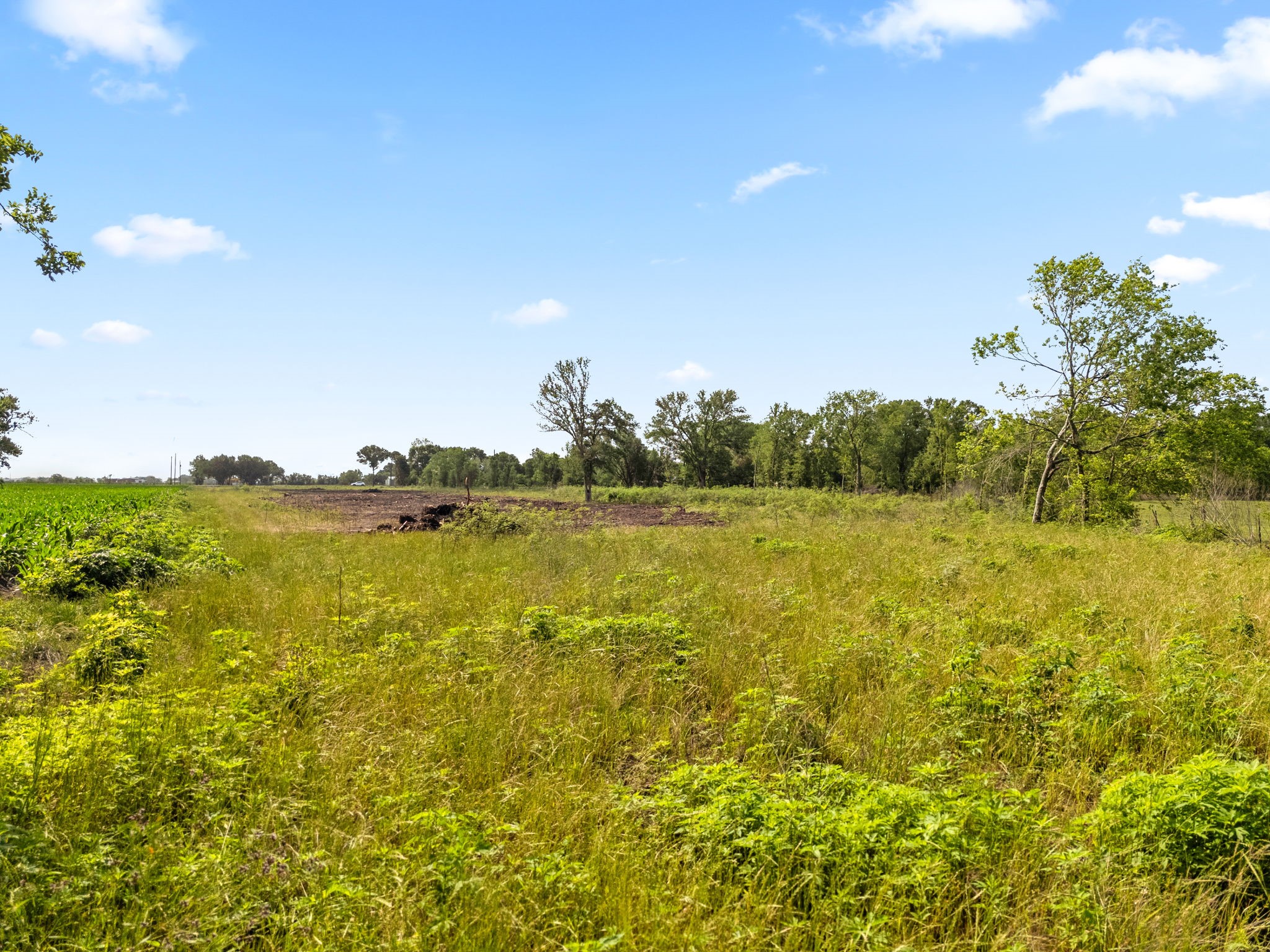 0 Modena School Road Rosenberg, TX 77471 - Photo 15 of 15